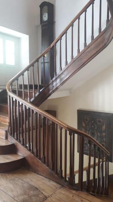 Magnifique Maison De Maitre Du 18E Avec Jardin Luz-Saint-Sauveur Ngoại thất bức ảnh
