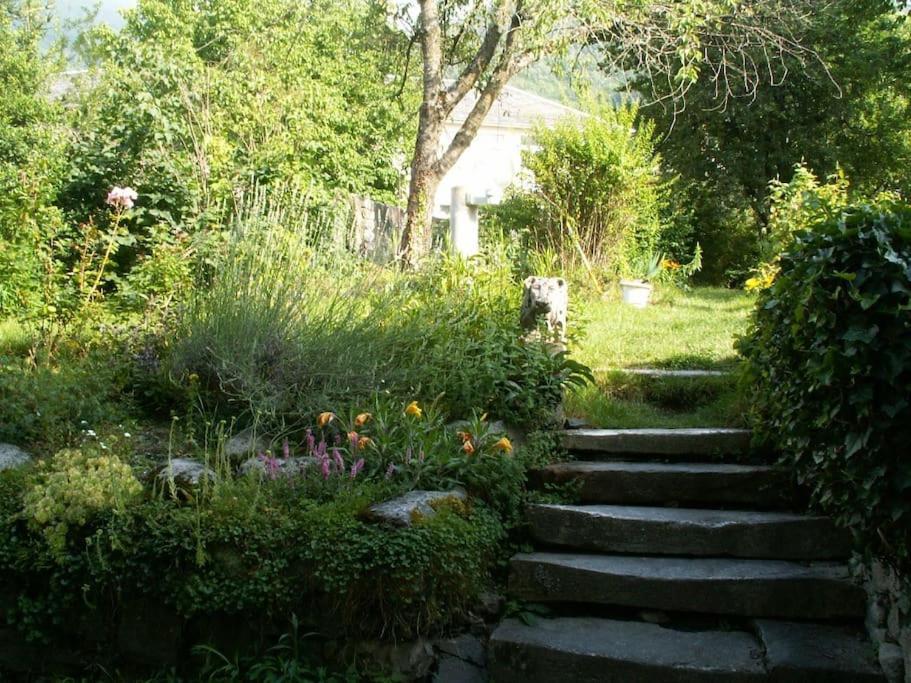 Magnifique Maison De Maitre Du 18E Avec Jardin Luz-Saint-Sauveur Ngoại thất bức ảnh