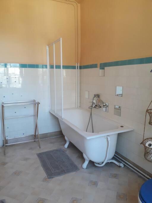 Magnifique Maison De Maitre Du 18E Avec Jardin Luz-Saint-Sauveur Ngoại thất bức ảnh